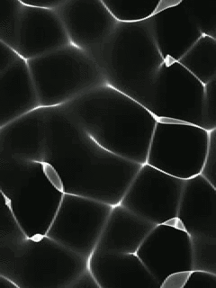 0030.gif